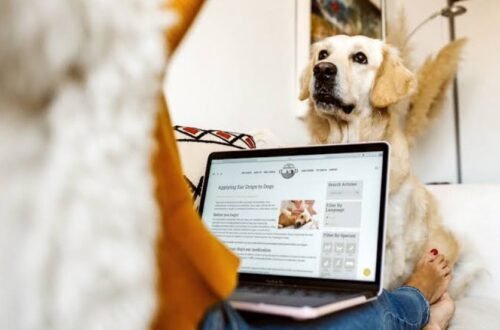Sharing Better Pet Health Advice Online: A Guide for Responsible Writers