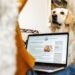 Sharing Better Pet Health Advice Online: A Guide for Responsible Writers