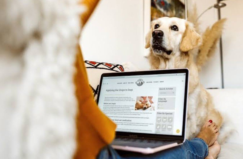 Sharing Better Pet Health Advice Online: A Guide for Responsible Writers